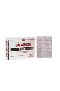 Gilaburu Mikroen Tablet 1000 mg 30 lu
